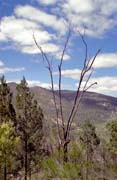N�rodn� park Mount Remarkable. Austr�lie.