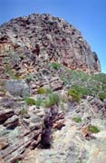 N�rodn� park Flinders Ranges. Austr�lie.