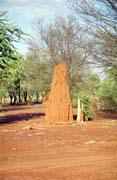 Termiti�t� cestou na sever do Northen Territory. Austr�lie.