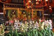 Buddhistick� monaterie Po Lin - m�sto, kde stoj� Tian Tan Buddha. Hong Kong.