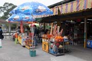 Buddhistick� monaterie Po Lin - m�sto, kde stoj� Tian Tan Buddha. Hong Kong.