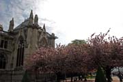 Katedr�la Notre Dame, Ile de la Cit�, Pa��. Francie.
