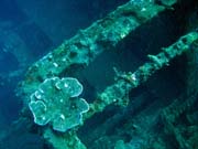 Vrak holandsk� obchodn� lodi potopen� v roce 1942. Pot�p�n� u ostrova Bunaken, lokalita Molas Wreck. Sulawesi, Indon�sie.