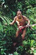 Mentawajec z ostrova Siberut. Sumatra, Indon�sie.