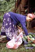 Byla �roda okurek. Laos.