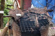 Prodej tradi�n� medic�ny, Kyaiktiyo. Myanmar (Barma).