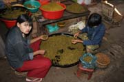 Kysel� ko�en� do tradi�n� Barmsk� kuchyn�, Nyaung U. Myanmar (Barma).
