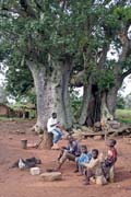 P�ed domem, oblast Boukoumb�. Benin.