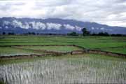 R��ovi�t� u Muang Sing. Laos.