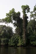 �eka Lobe. Kamerun.