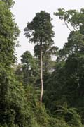 �eka Lobe. Kamerun.