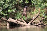 �eka Lobe. Kamerun.