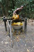 Lisov�n� p��rodn�ho oleje a palmov�ch plod�. �eka Lobe. Kamerun.
