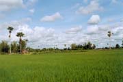 Cesta do Phnom Penhu - z Vietnamu. Kambod�a.