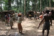 Tradi�n� tance v Pygmejsk� vesnici na �ece Lobe. Kamerun.