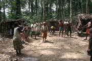 Tradi�n� tance v Pygmejsk� vesnici na �ece Lobe. Kamerun.