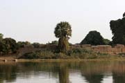 �vot okolo �eky Chari, p��toku jezera �ad.  Kamerun.