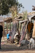 Vesnice Kofia na jeze�e �ad. Kamerun.