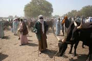 Trh na b�ehu �eky Chari. Etnika z cel�ho oklol� se zde sch�zej� za obchodem (v�etn� nom�d�). Oblast jezera �ad. Kamerun.