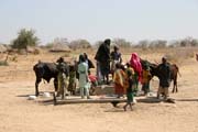 Mal� vesnice za br�nou N�rodn�ho parku Waza sm�rem do vesnice Maga. Kamerun.
