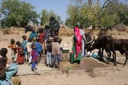 U pumpy. Mal� vesnice za br�nou N�rodn�ho parku Waza sm�rem do vesnice Maga. Kamerun.