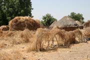 Mal� vesnice za br�nou N�rodn�ho parku Waza sm�rem do vesnice Maga. Kamerun.
