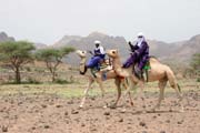 Tuaregov� st�le nej�ast�ji cestuj� na velbloudech. Oblast poho�� Air. Niger.