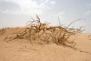 Krajina na pomez� poho�� Air a p�se�n� pou�t� Sahara. Niger.