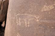 Historick� kresby na Saha�e v oblasti Zarzen. Kresby zobrazuj� typick� africk� zv��ata, kter� zde v dob� �rodn�ch pl�n� �ila. Niger.