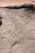 Historick� kresby �iraf na Saha�e v oblasti Dabous. Niger.