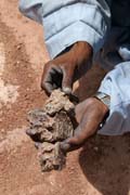 Zkamen�l� kosti z krokod�la. Dinousau�� h�bitov v bl�zkosti m�sta Agadez.  Niger.