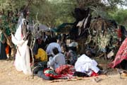 Mu�i z ko�ovn�ho etnika Wodaab� (naz�v�ni t� Bororo) se l��� na tanec Yaake. Slavnost Gerewol. Niger.