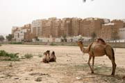Pohled na m�sto Shibam naz�van� Manhattanem pou�t�. Ve�ker� zdej�� domy jsou hlin�n� mrakodrapy. Oblast Wadi Hadramawt. Jemen.