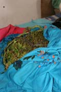 Jemensk� droga kat. M�sto Hadibu na ostrov� Socotra (Suqutra). Jemen.