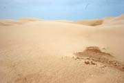 P�se�n� duny na ji�n�m pob�e�� ostrova Socotra (Suqutra). Jemen.
