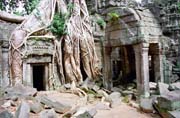 Kambod�a - chr�m Ta Prohm