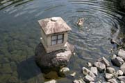 Zahrada Koko-en ve m�st� Himeji. P�kn� p��klad typick� japonsk� zahrady. Japonsko.