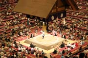 Z�pas sumo b�hem turnaje sumo. Tokio. Japonsko.