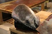 Ryb� trh Tsukiji, Tokio. Japonsko.