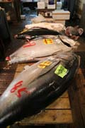 Ryb� trh Tsukiji, Tokio. Japonsko.