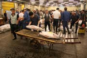 Rann� dra�ba tu��k� - je po aukci, prodan� si ryby si odv�ej� kupci. Ryb� trh Tsukiji, Tokio. Japonsko.