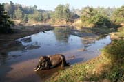 Slon� koupel. Kemp s pracovn�mi slony. Okol� m�sta Taungoo. Myanmar (Barma).