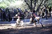 Zulu vesnice. Jihoafrick� republika.