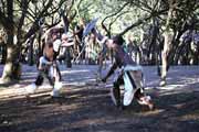 Zulu vesnice. Jihoafrick� republika.