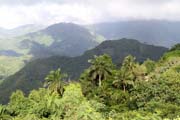 Hory okolo m�sta Baracoa. Kuba.