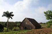 D�m, kde se su�� tab�k, tab�kov� plant�, �dol� Vinales (Valle de Vinales). Kuba.