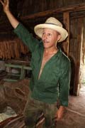 Farm��, tab�kov� plant�, �dol� Vinales (Valle de Vinales). Kuba.