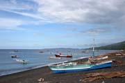 N�rodn� park Tangkoko. Sulawesi, Indon�sie.