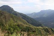 Kopcovit� krajina v okol� m�sta Munnar, Kerala. Indie.
