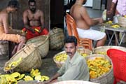 P��pravy b�hem Ernakulam Shiva Temple Festivalu. Ernakulam, Kerala. Indie.